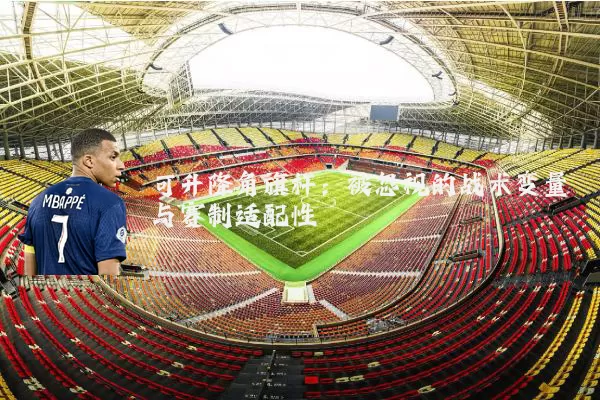 可升降角旗杆：被忽视的战术变量与赛制适配性